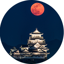 姫路城内郭内復元鳥瞰図